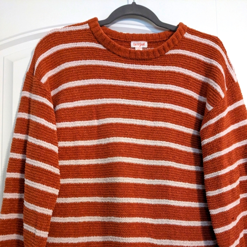 Cat and jack fall sweater